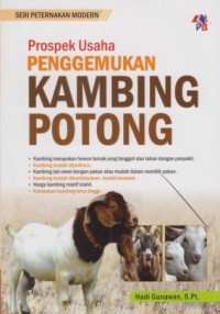 Prospek Usaha Penggemukan Kambing Potong